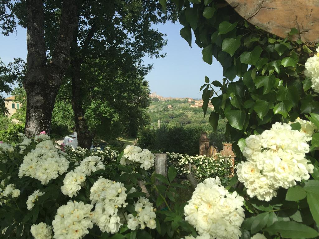Podere Sant'Elena San Gimignano Eksteriør billede