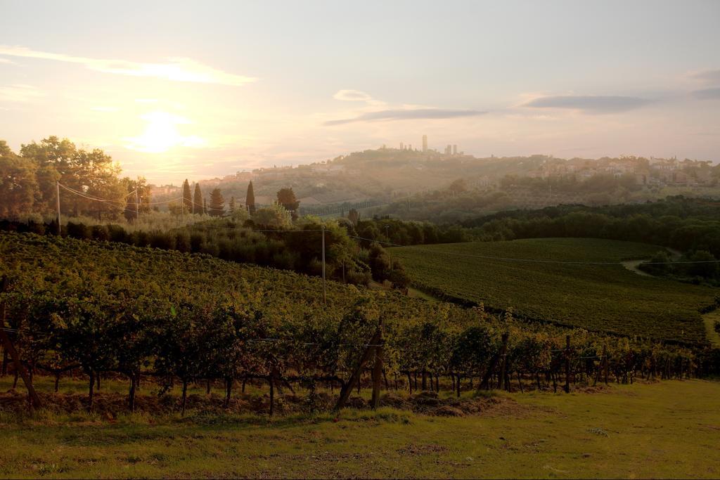 Podere Sant'Elena San Gimignano Eksteriør billede