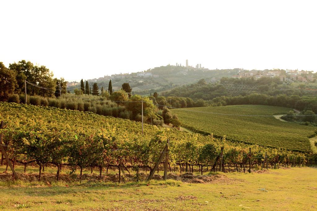 Podere Sant'Elena San Gimignano Eksteriør billede
