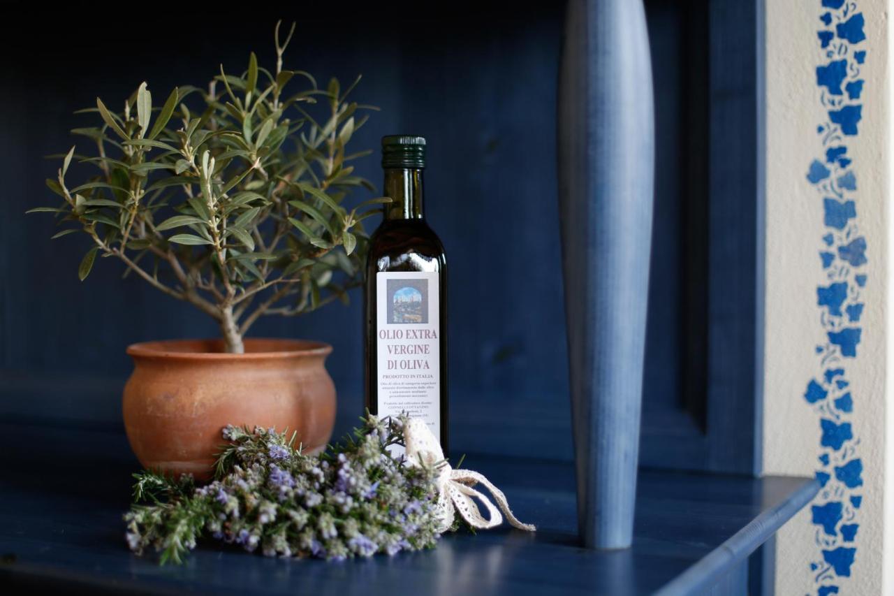 Podere Sant'Elena San Gimignano Eksteriør billede